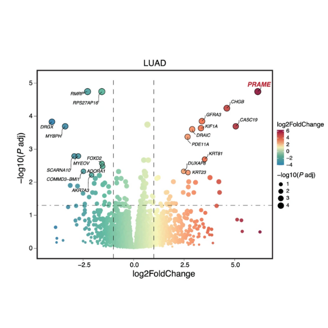 Learning how to use DESeq2 through mistakes